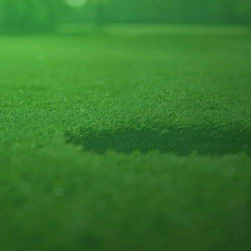 View Client Sample: Secret Golf